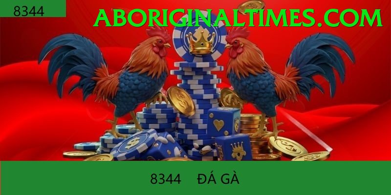 Đá Gà Trực Tiếp - Trải nghiệm tuyệt vời